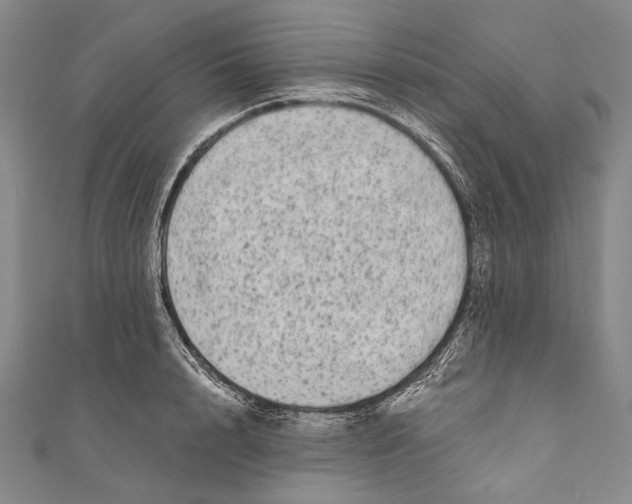 X0000110960848200907101326