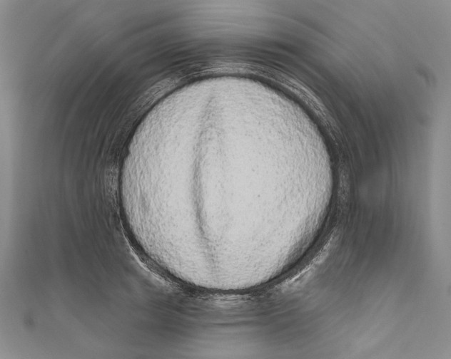 X0000110960849200907101326