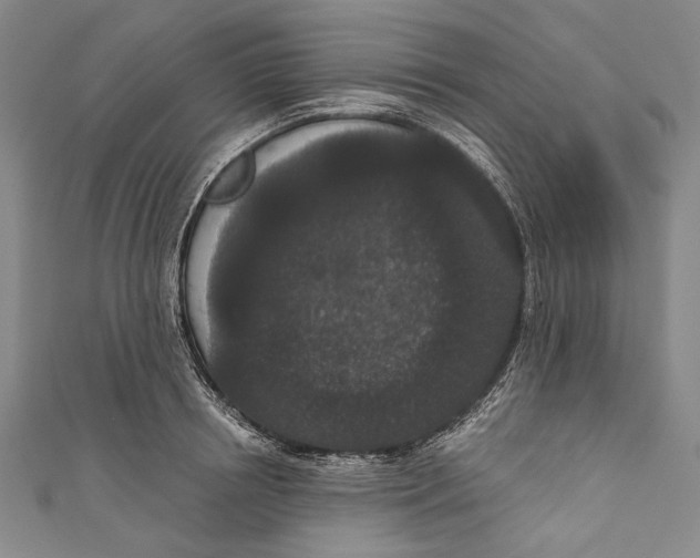 X0000110960850200907101326