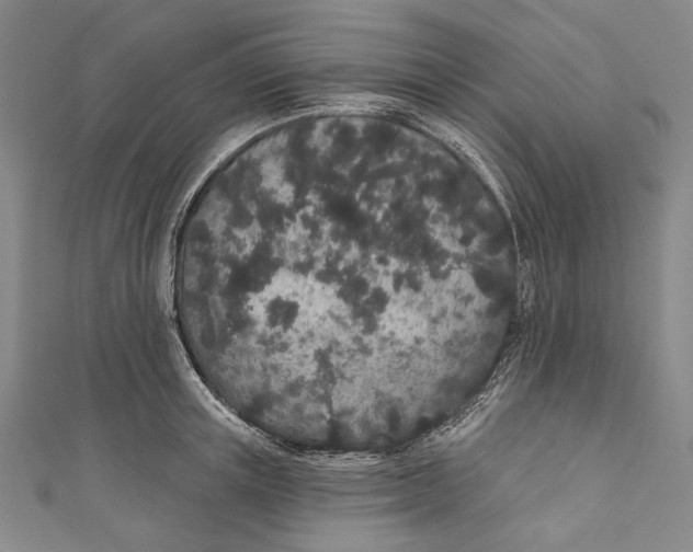 X0000110960851200907101326