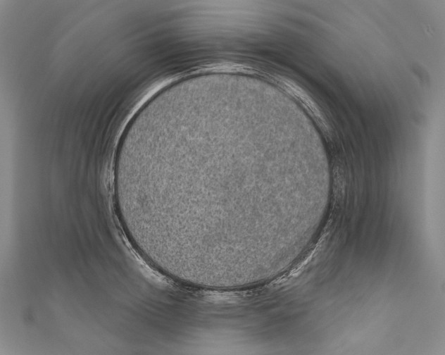 X0000110960852200907101326