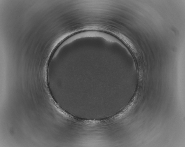 X0000110960854200907101326