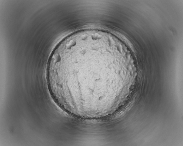 X0000110960855200907101326