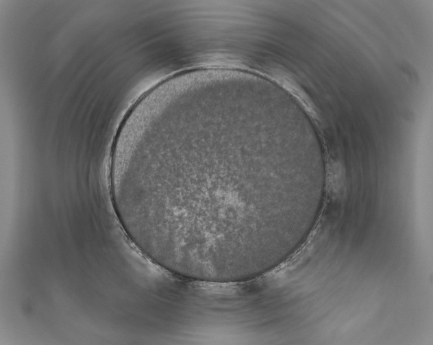 X0000110960856200907101326