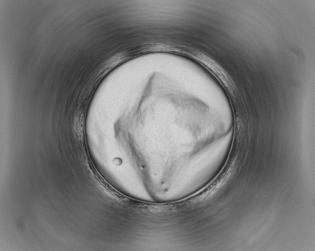 X0000110960857200907101326