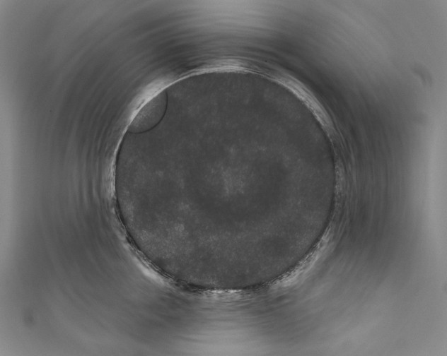 X0000110960858200907101326