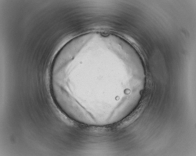 X0000110960859200907101326