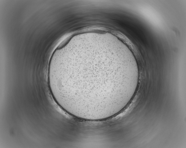 X0000110960860200907101326