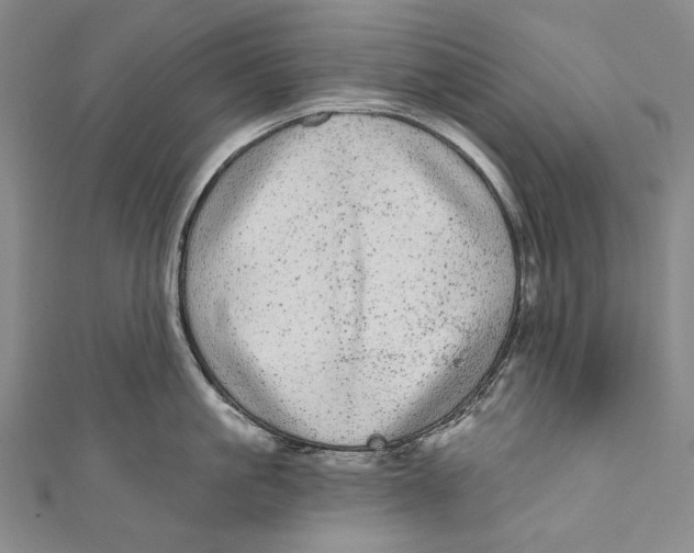 X0000110960861200907101326