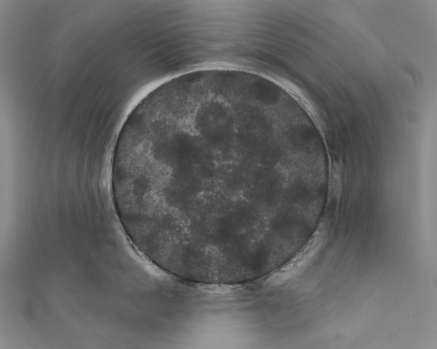 X0000110960862200907101326