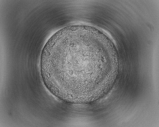 X0000110960863200907101326