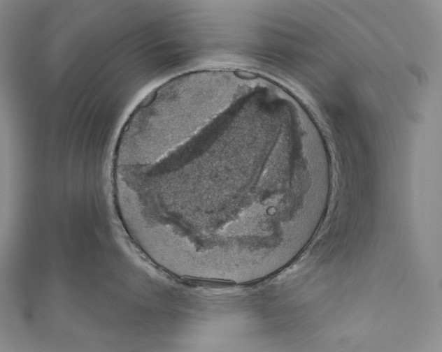 X0000110960864200907101326