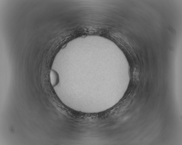 X0000110960865200907101325