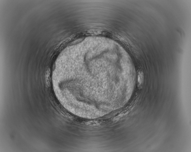 X0000110960867200907101325