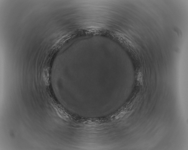 X0000110960868200907101325