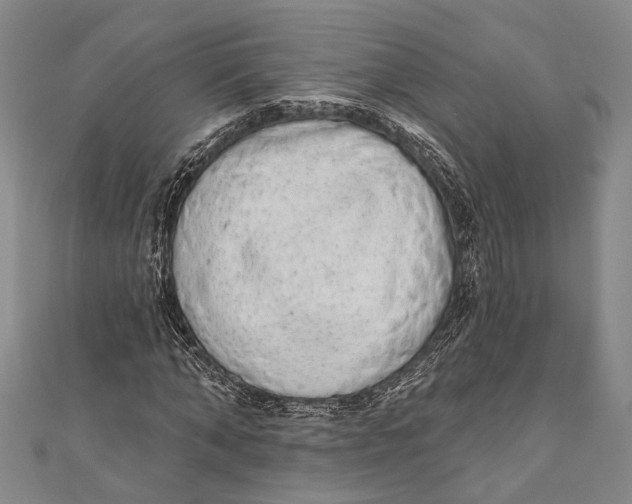 X0000110960870200907101325