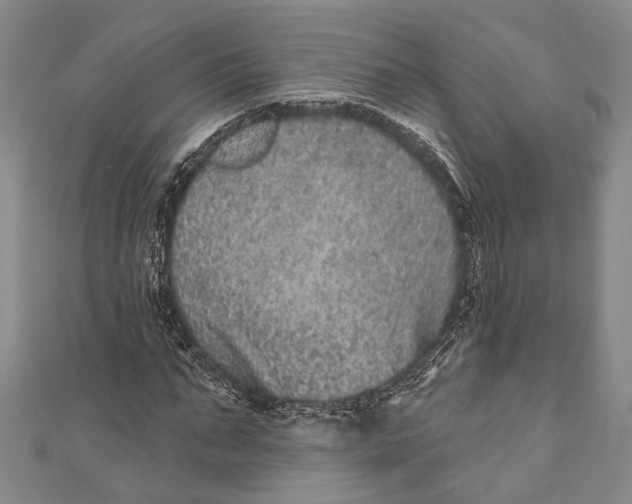 X0000110960871200907101325