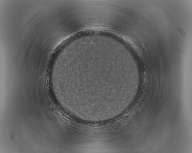 X0000110960872200907101325