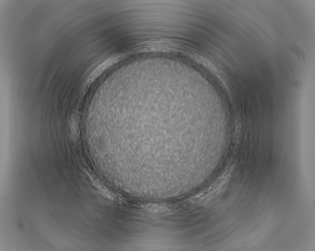 X0000110960874200907101325