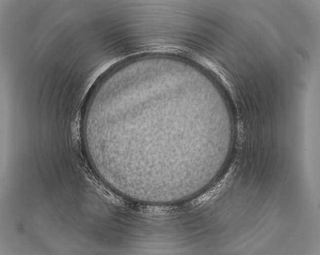 X0000110960875200907101325