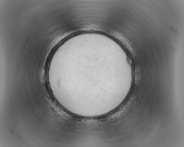 X0000110960876200907101325