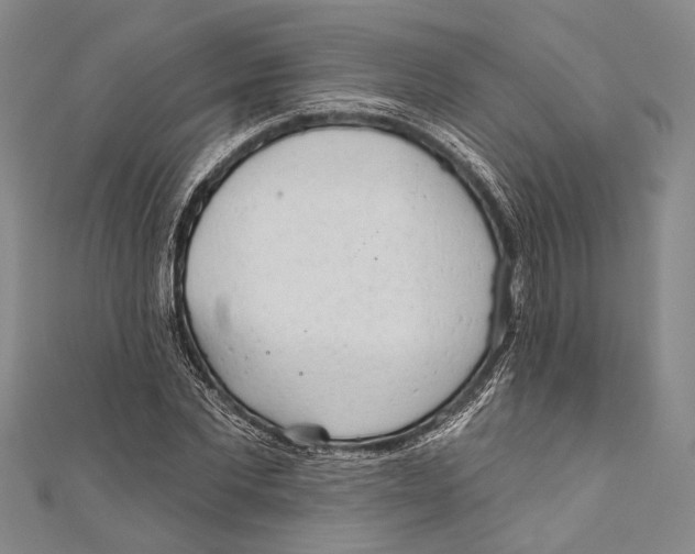 X0000110960877200907101325