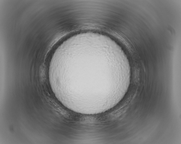 X0000110960878200907101325