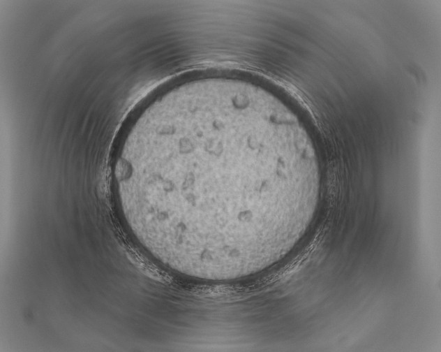 X0000110960879200907101325