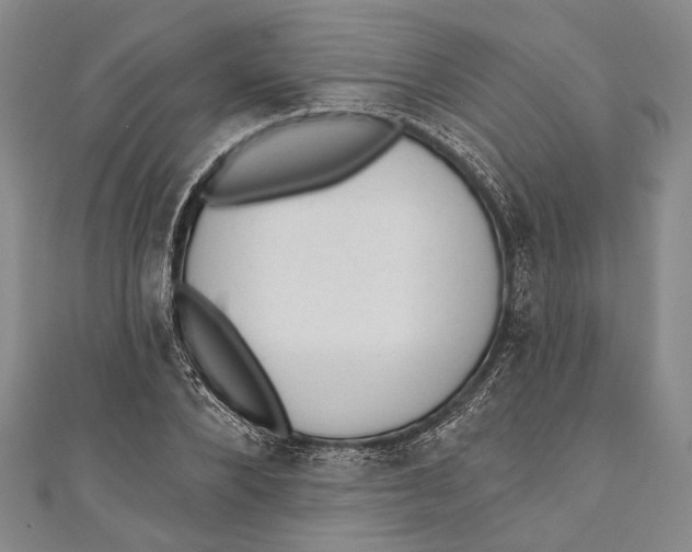 X0000110960880200907101325