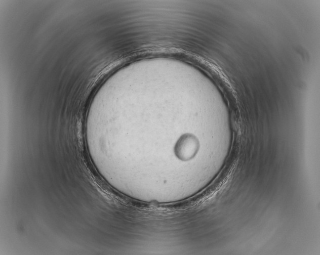 X0000110960881200907101325