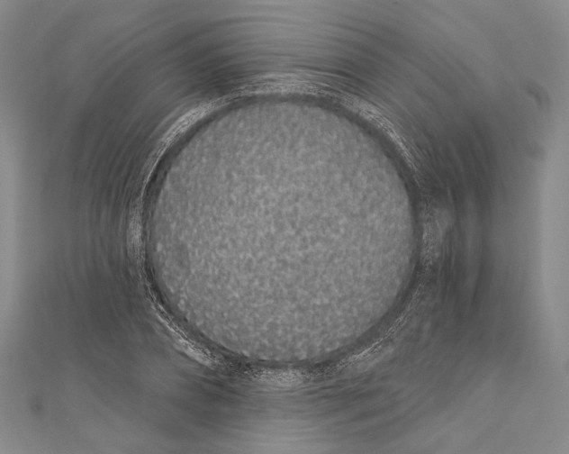 X0000110960882200907101325