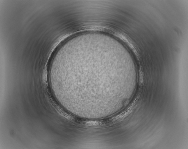 X0000110960883200907101325