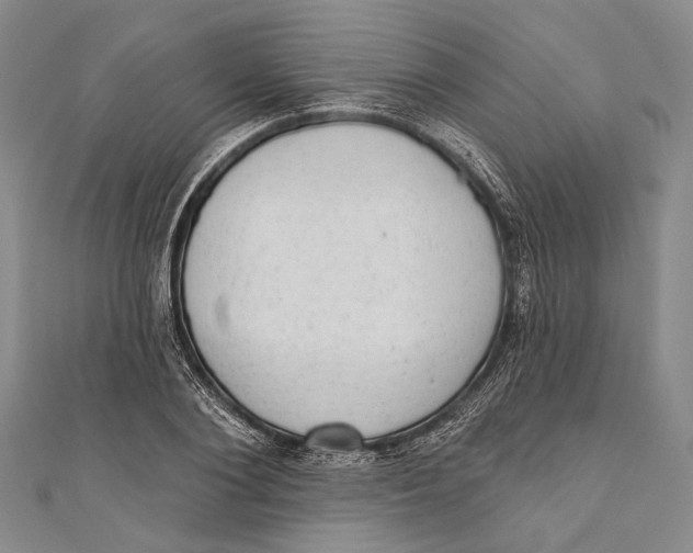 X0000110960884200907101325