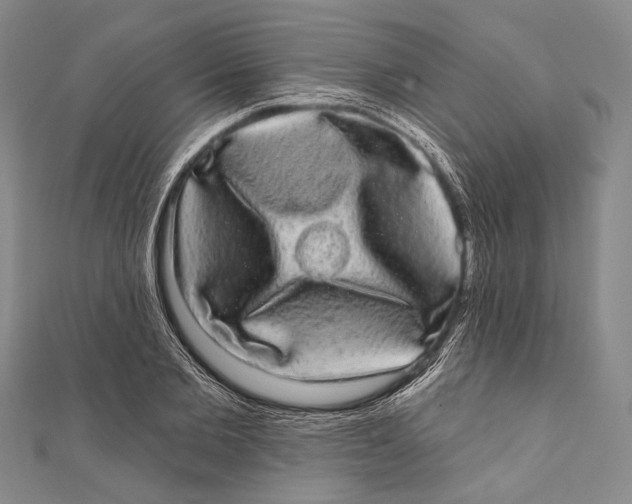 X0000110960885200907101325