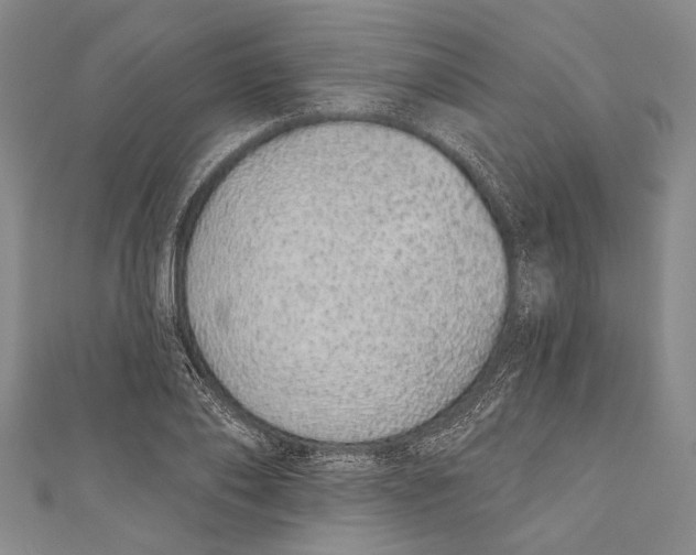 X0000110960886200907101325