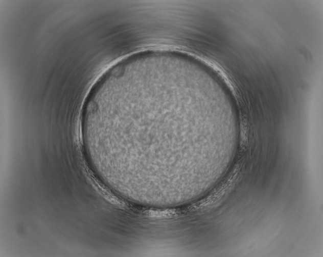 X0000110960887200907101325