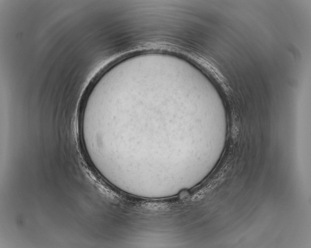 X0000110960888200907101325