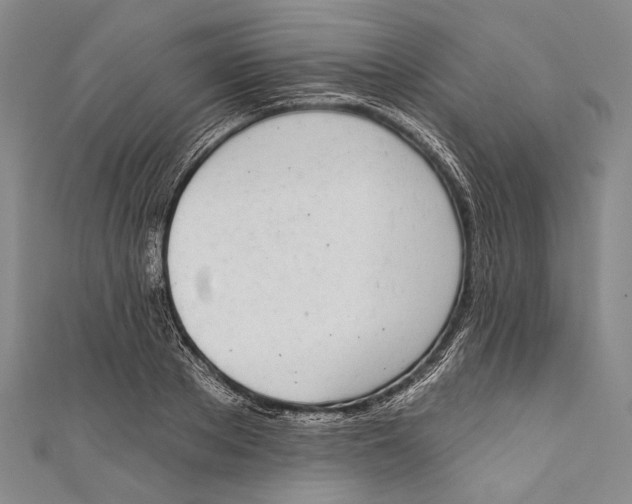 X0000110960889200907101325