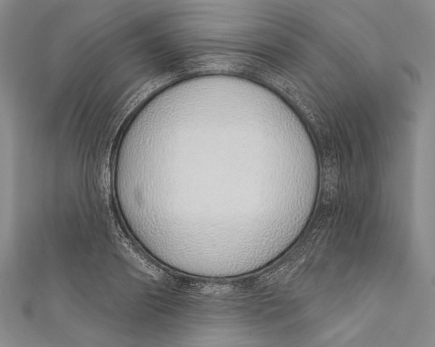 X0000110960890200907101325