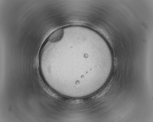 X0000110960891200907101325