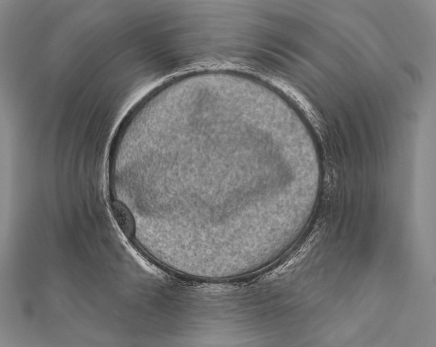 X0000110960894200907101325