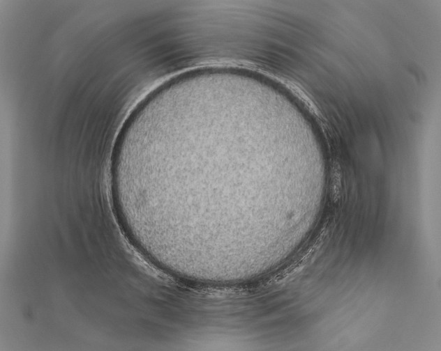 X0000110960895200907101325