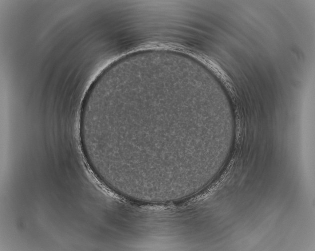 X0000110960896200907101325