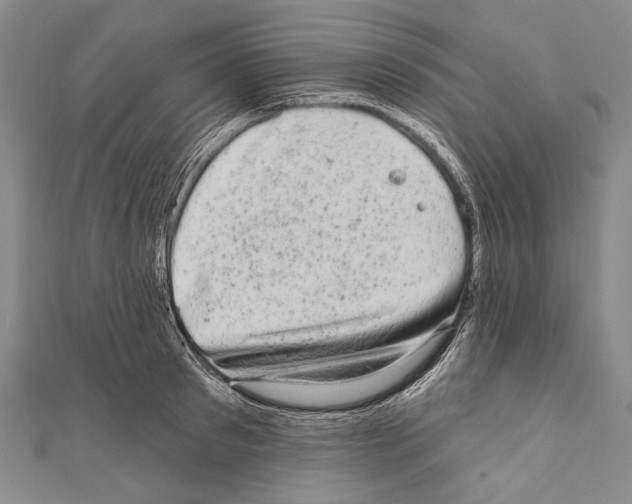 X0000110960897200907101325