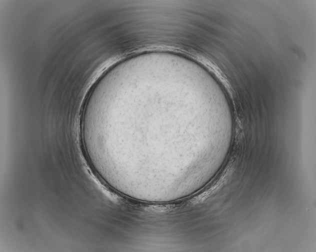 X0000110960898200907101325