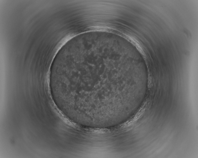 X0000110960899200907101325