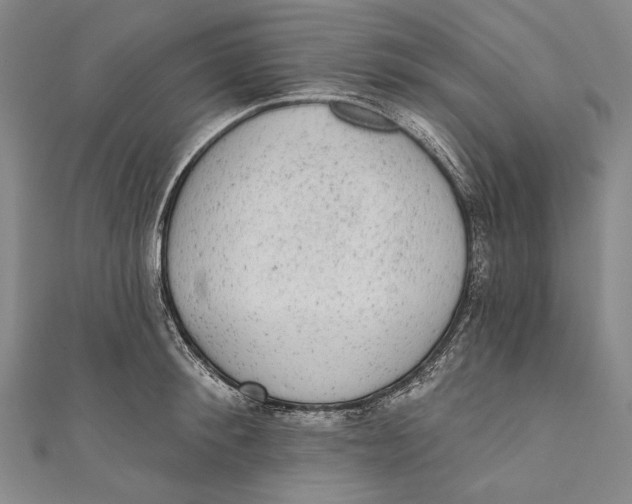 X0000110960900200907101325