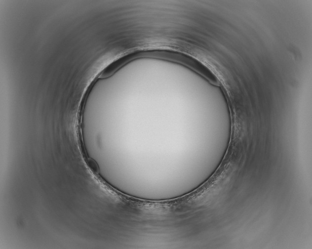 X0000110960901200907101325