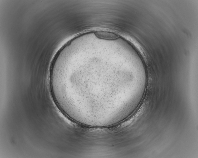 X0000110960902200907101325