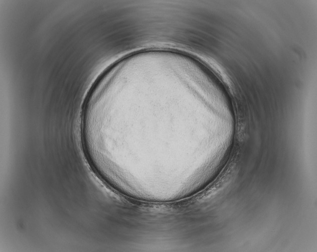 X0000110960903200907101325